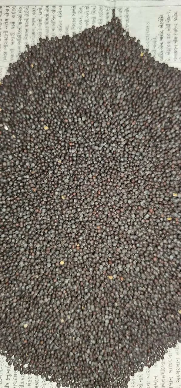 Black Seeds